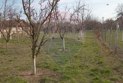 Teren Construcții intravilan de 2954 mp, în Vladimirescu - 3