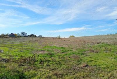 Teren 6.000 mp in Peri?, aproape de Bucure?ti ideal pentru locuin?a sau investi?ie - 6