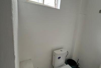 DE INCHIRIAT SPATIU COMERCIAL MAICA DOMNULUI STATIA DE TRAMVAI ALEXANDRU CEL BUN - 10