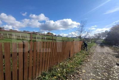 Cabana cu teren intravilan de 10 ari situat in Sigmir - 1