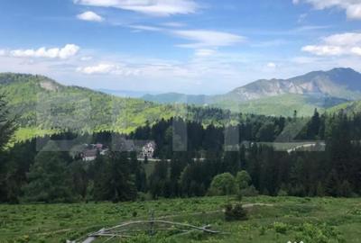 Teren de 10000 mp, în Central - 2