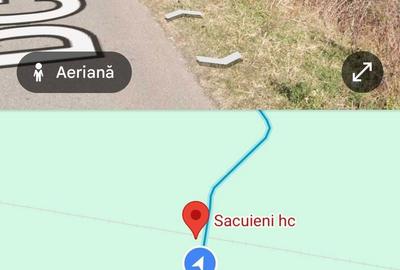 Teren de 25800 mp, în Săcueni - 4