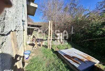 Casă cu 9 camere cu Teren 1036 Mp în Vârfuri - 4