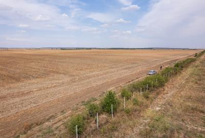 FRUMUSANI - PASAREA, TEREN 14420 MP, FRONT 40 M! - 6