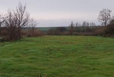 Teren Construcții intravilan de 2000 mp, în Istria - 3