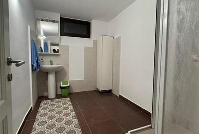 Vanzare D+P din D+P+2 | zona Cotroceni - Panduri | 230 mp | curte | - 18