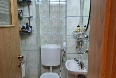 Apartament cu 4 camere decomandat în Banat - 5