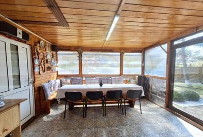 CASA DE VACANTA - UN MIC COLT DE RAI , STEFANESTI, ARGES CASA DE VACANTA - UN MIC COLT DE RAI , STEFANESTI, ARGES - 12