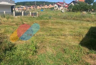 Teren Construcții intravilan de 700 mp, în Chinteni - 1