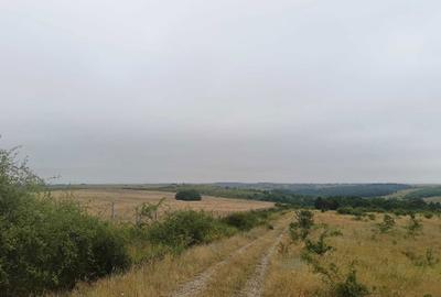 Spațiu comercial, în Lugoj - 12