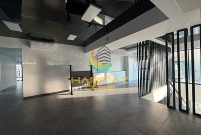 Birou, de 151 mp, în Mihai Bravu - 2