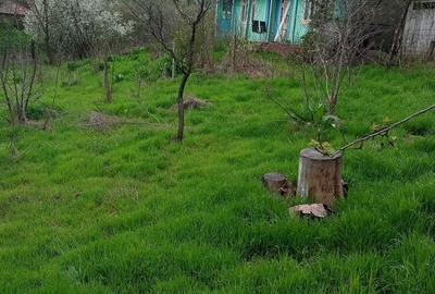 Apartament în Blăgești - 1