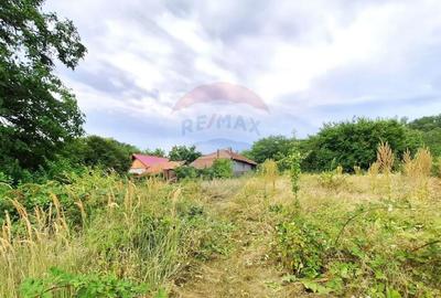 Casă cu 2 camere cu Teren 5361 Mp în Homești - 5