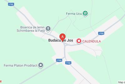 Casa de Budacu de jos Bistrita - 10