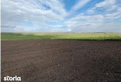 Teren de 10000 mp, în Șipote - 9