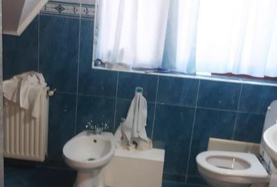 Cartierul Sasar, casa 17 ari teren - 1