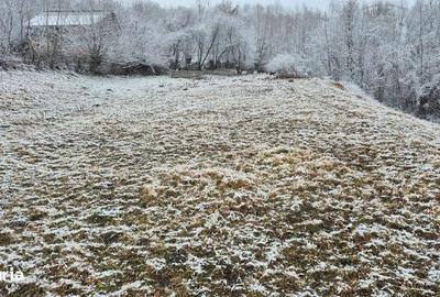 Teren de 9380 mp, în Secăria - 2