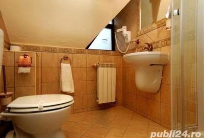 Spațiu comercial, de 800 mp, în Valea Crișului - 7