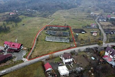 Teren de 8574 mp, în Căpățânenii Pământeni - 5