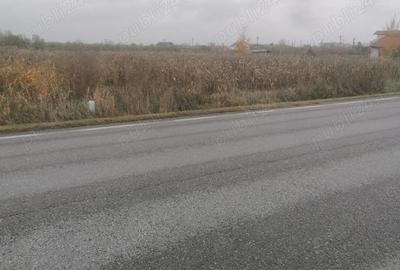 Teren de 3700 mp, în Săcueni - 2