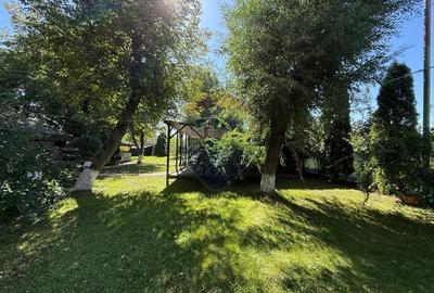 Spațiu comercial, de 300 mp, în Calea Romanului - 26