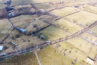 Teren Construcții intravilan de 5783 mp, în Bran - 3