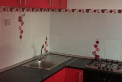 Apartament 2 camere, 45 mp, etaj intermediar, aproape de Iulius Mall - 4