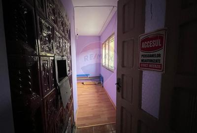 Casa de vanzare in Tisa-Silvestri Bacau - 9