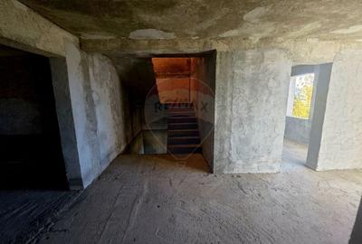 Casă individuală cu 5 camere cu Teren 2700 Mp în Alexandru cel Bun - 29