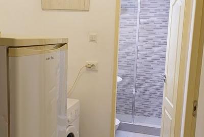 Apartament cu 2 camere decomandat, mobilat în Viitorului - 5