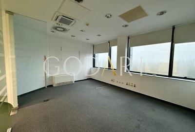 Birou, de 416.89999389648 mp, în Băneasa - 13