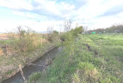 Teren ideal pentru casa de vacanta sau locuinta permanenta, la marginea padurii - 4