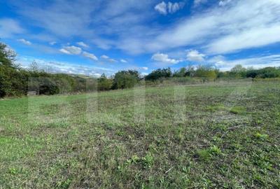 Teren de 5996 mp, în Sânmartin