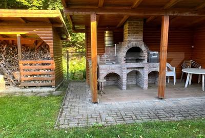 Cabana moderna in Campul Cetatii - confort si natura in acelasi loc - 8