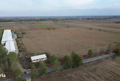 Spațiu comercial, de 8,000 mp, în Potlogi - 1