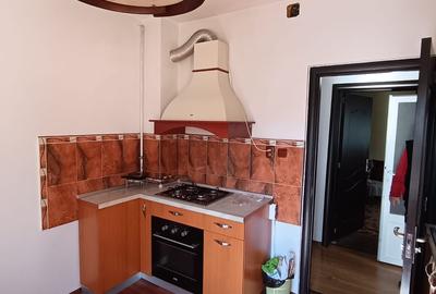 Vila pe strada Vasile Lupu - Ultracentral - 7