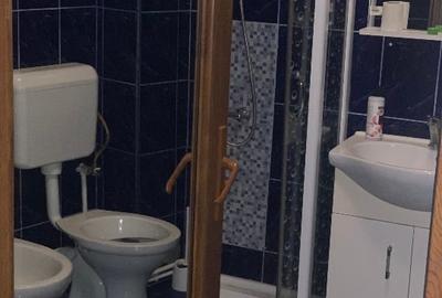 Súper vilă de închiriat pe termen lung în orașul Roman județul NT - 5