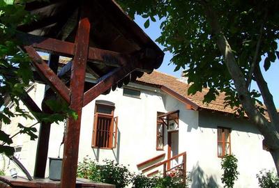 Casă cu 5 camere cu Teren 3610 Mp în Central - 4