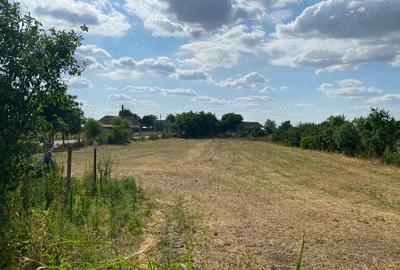 Casa + teren 2877 mp in Loc. Dolat, Com. Livezile direct de la proprietar! - 4