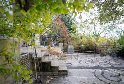 Proprietate Exclusivista cu Deschidere Spectaculoasa la Apa – Domeniu Privat cu - 19