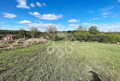 Teren intravilan 5995 mp de vanzare in Hidiselu de Sus - 6