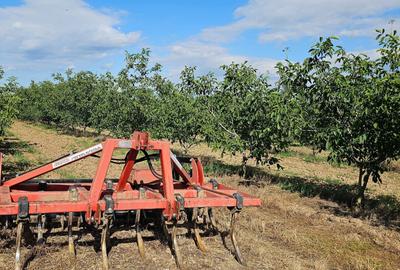 Teren de 140000 mp, în Arva - 7