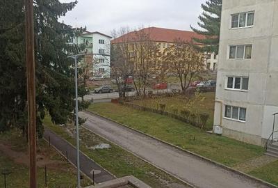 De vanzare apartament cu 2 camere in Sfantu Gheorghe - 10