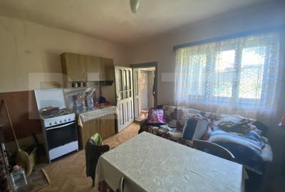 Casa de vanzare cu teren in suprafata de 3000 mp in comuna Creaca - 8
