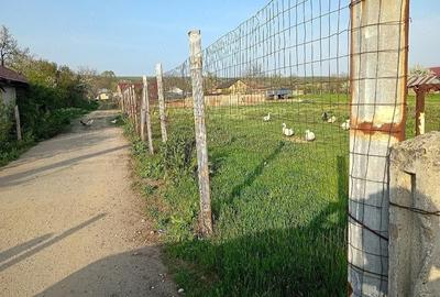 Teren de 1268 mp, în Brădești - 1