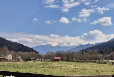 Spațiu comercial, în Plaiul Foii - 13