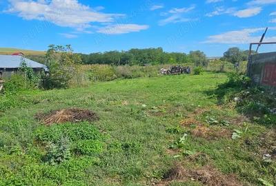 Teren de 2300 mp, în Borșa - 7