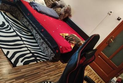 Apartament cu 2 camere semidecomandat în Sântimbru - 3
