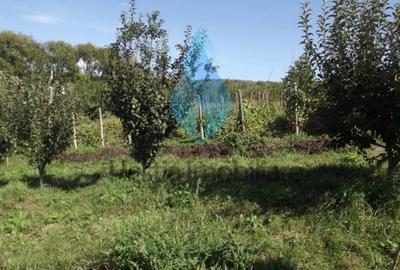 Teren intravilan de 3240 mp, în Bârnova - 1