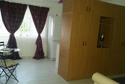 Apartament cu 1 camere decomandat, mobilat în Chiajna